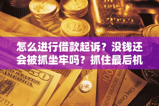 武汉怎么进行借款起诉？没钱还会被抓坐牢吗？抓住最后机会！