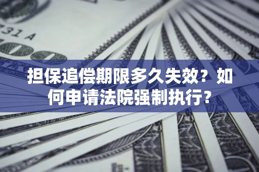 武汉担保追偿期限多久失效？如何申请法院强制执行？