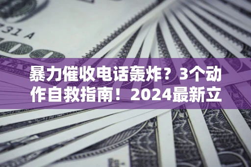 武汉暴力催收电话轰炸？3个动作自救指南！2024最新立案标准全解析